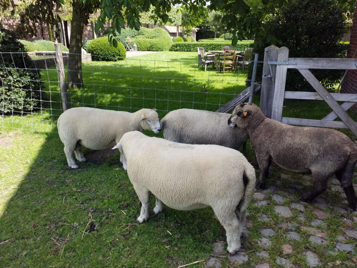 B&B De Hulst Izegem Bagian luar foto