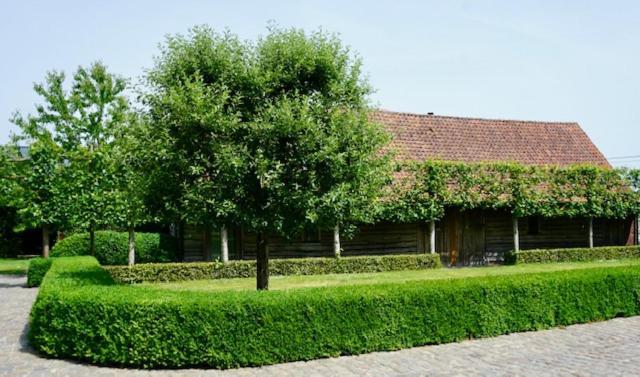 B&B De Hulst Izegem Bagian luar foto