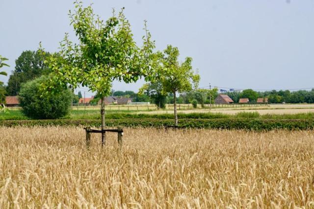 B&B De Hulst Izegem Bagian luar foto