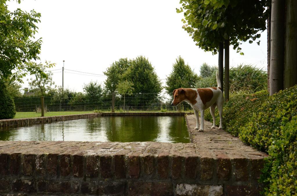 B&B De Hulst Izegem Bagian luar foto